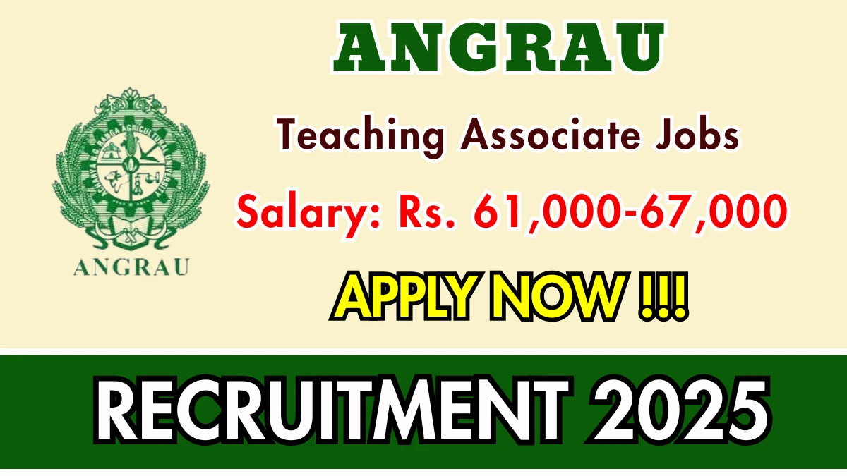 ANGRAU Teaching Associate Recruitment 2025 – Walk in for 01 Posts