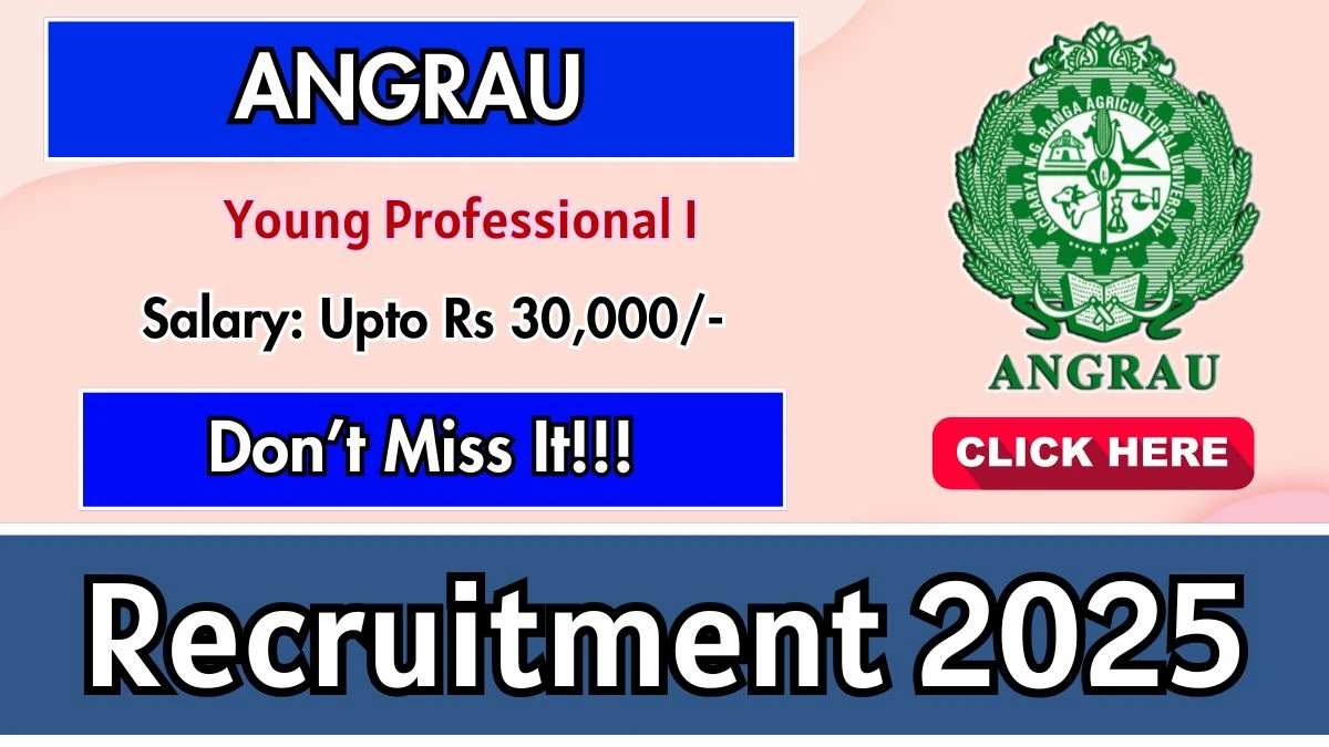 ANGRAU Young Professional I Recruitment 2025 – Walk in for 01 Posts