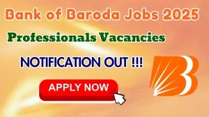 Bank of Baroda Professionals Recruitment 2025 - Apply Online for 12 Posts Bank of Baroda Professionals Recruitment 2025 - Apply Online for 12 Posts
