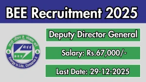 BEE Deputy Director General Recruitment 2025 - Apply Offline