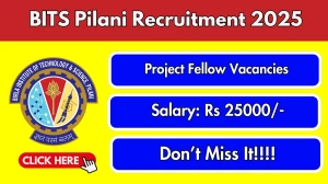 BITS Pilani Project Fellow Recruitment 2025 - Apply Online