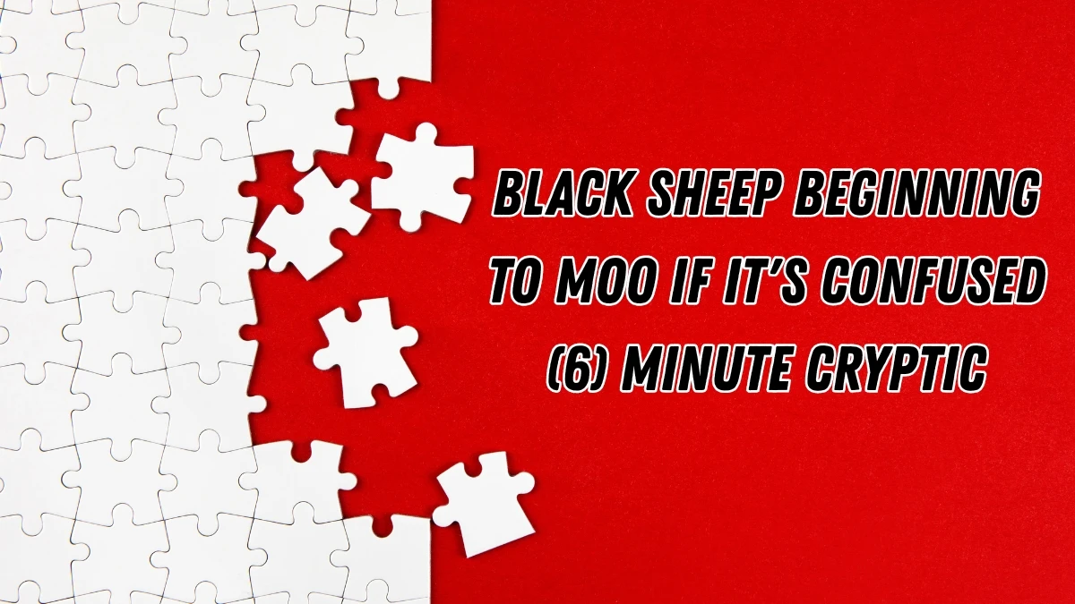 Black sheep beginning to moo if it's confused (6) Minute Cryptic Answer 10 November 2025