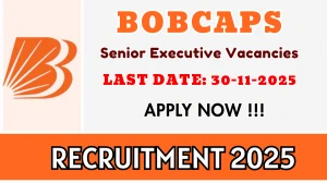 BOBCAPS Senior Executive Recruitment 2025 - Apply Online