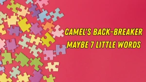 Camel's back-breaker maybe 7 Little Words 5 letters Answer
