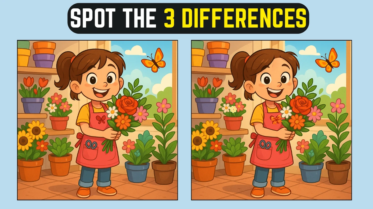 Can You Spot 3 Differences in the girl in flower shop Image in 12 Seconds?