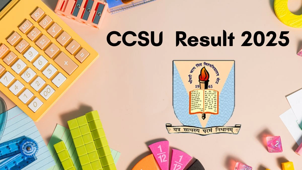 CCSU Result 2025 Out at ccsuniversity.ac.in Direct Link to Download BEd 1st Year Marksheet Result