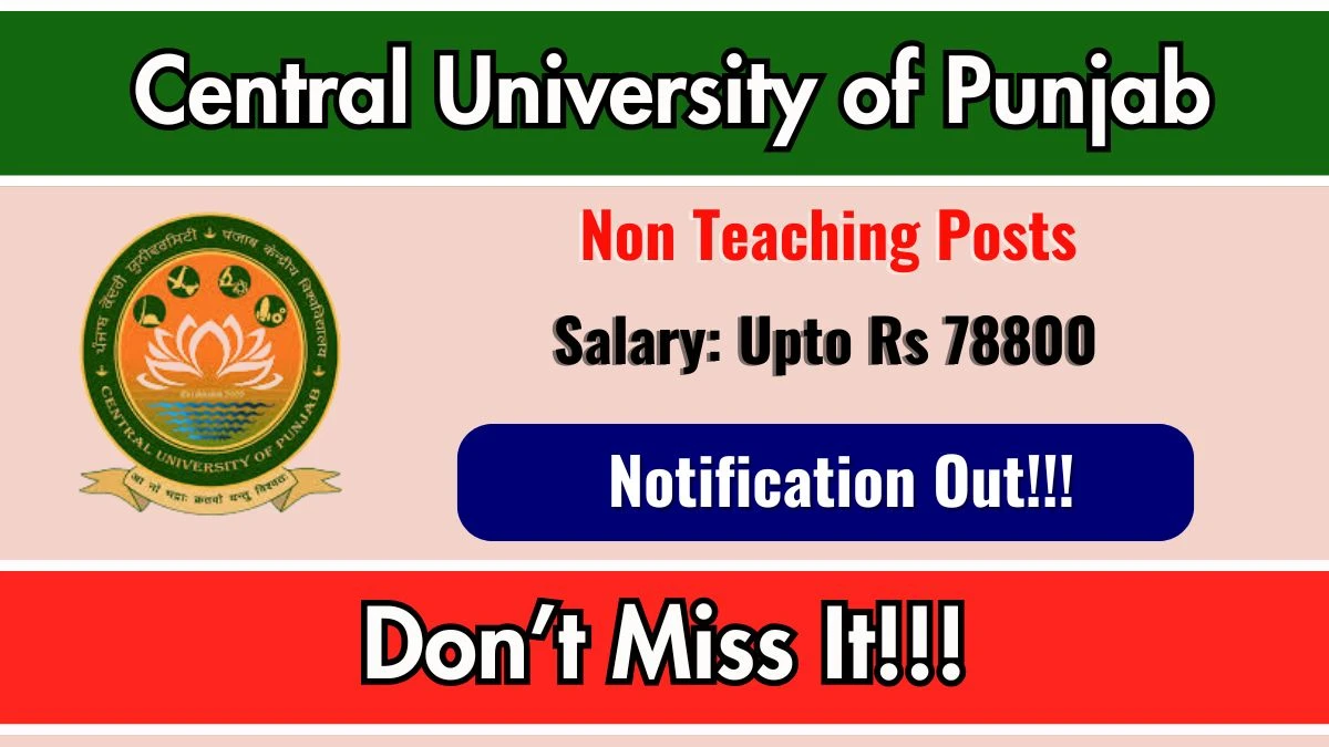 Central University of Punjab Non Teaching Recruitment 2025 - Apply Online for 23 Posts