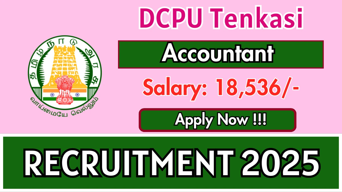 DCPU Tenkasi Accountant Recruitment 2025 – Apply Offline  for 01 Posts