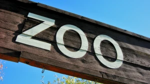 Delhi Zoo Reopens for Visitors After Two-Month Closure