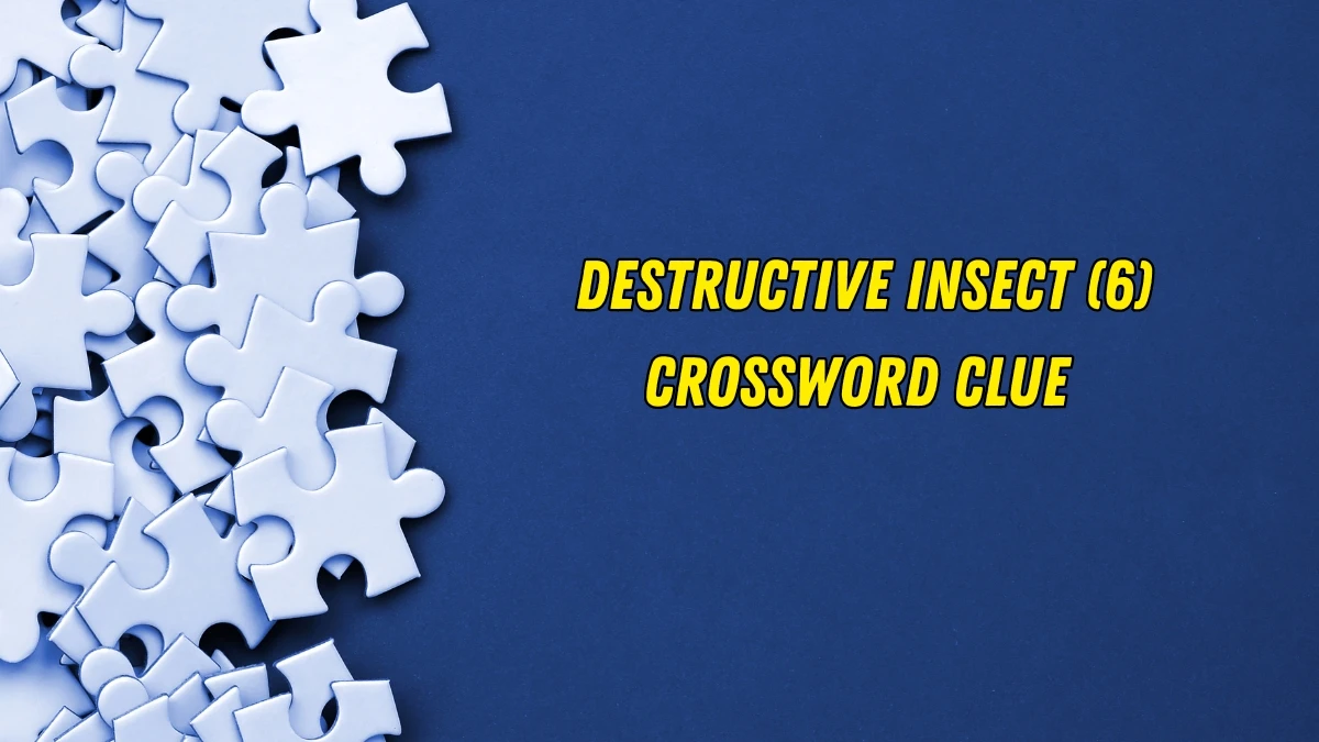 Destructive insect Crossword Clue Irish Daily Mail Quick 6 letters Answer