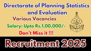 Directorate of Planning Statistics and Evaluation Recruitment 2025 - Apply Offline for 12 Expert, Project Officer and More Posts