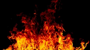 Driver’s Swift Action Prevents Major Tragedy as Bus Catches Fire in Andhra Pra...