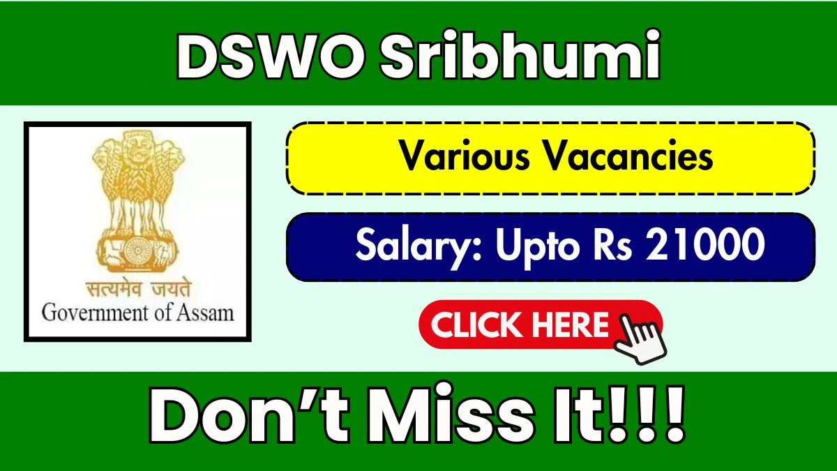 DSWO Sribhumi Recruitment 2025 - Apply Offline for 09 Cook, Office Assistant and Other Posts
