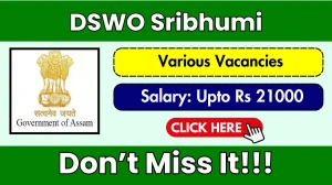 DSWO Sribhumi Recruitment 2025 - Apply Offline for 09 Cook, Office Assistant and Other Posts