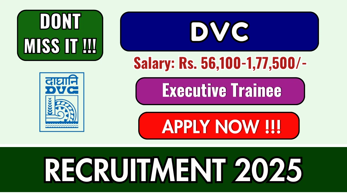 DVC Executive Trainee Recruitment 2025 - Apply Online for 54 Posts