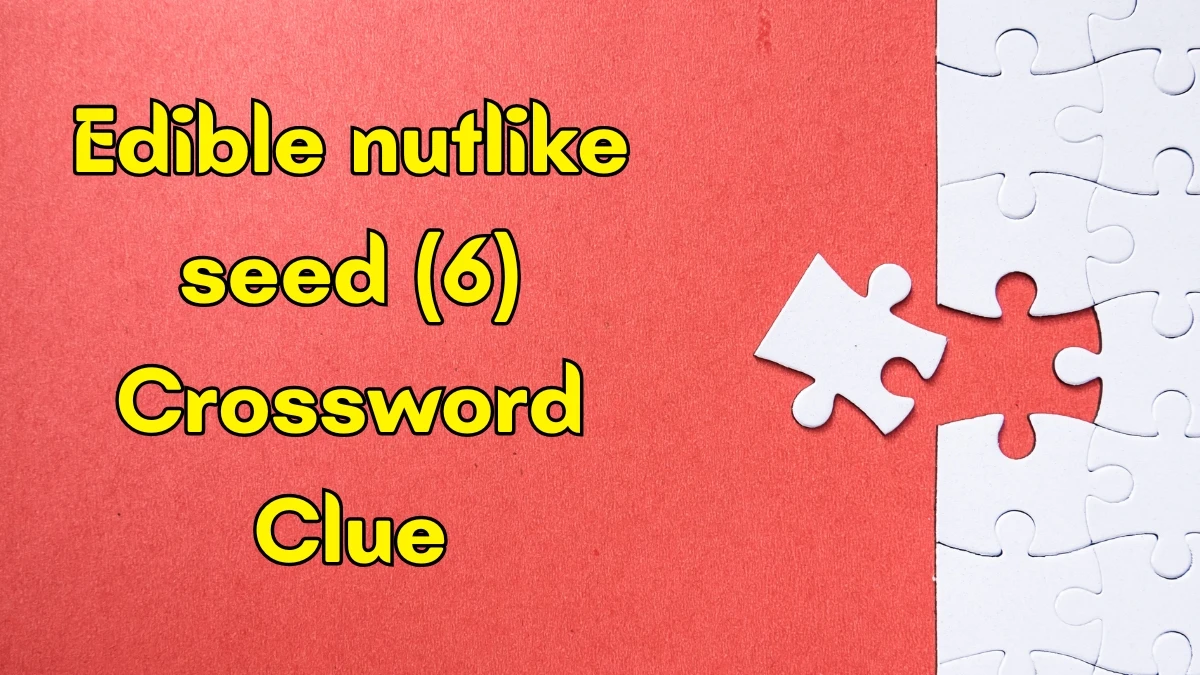 Edible nutlike seed Crossword Clue Irish Daily Mail Quick 6 letters Answer