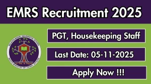 EMRS Recruitment 2025 - Apply Offline for 02 PGT, Housekeeping Staff Posts