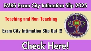 EMRS Teaching and Non-Teaching Exam City Intimation Slip 2025 Out – Download Link Here