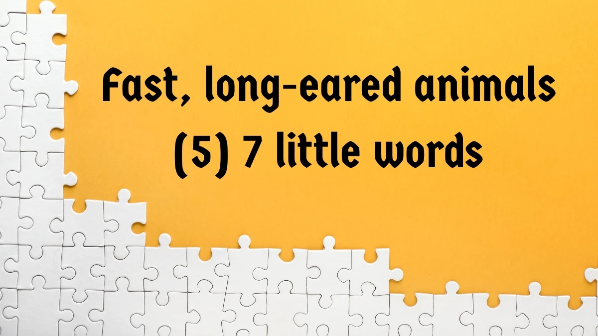 Fast, long-eared animals 7 Little Words 5 letters Answer