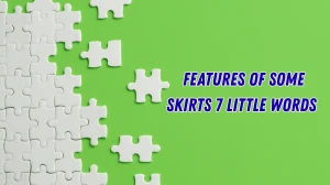 Features of some skirts 7 Little Words 5 letters Answer