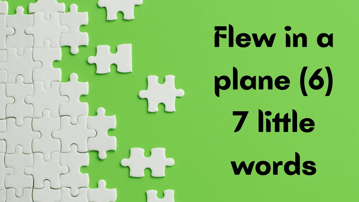 Flew in a plane 7 Little Words 6 letters Answer