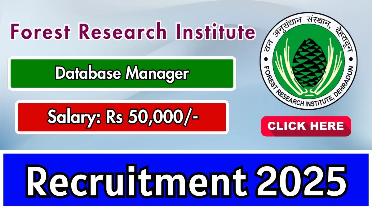 Forest Research Institute Database Manager Recruitment 2025 – Walk in