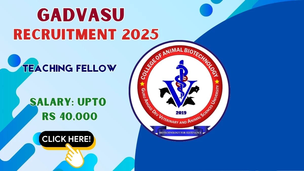 GADVASU Teaching Fellow Recruitment 2025 - Apply Offline