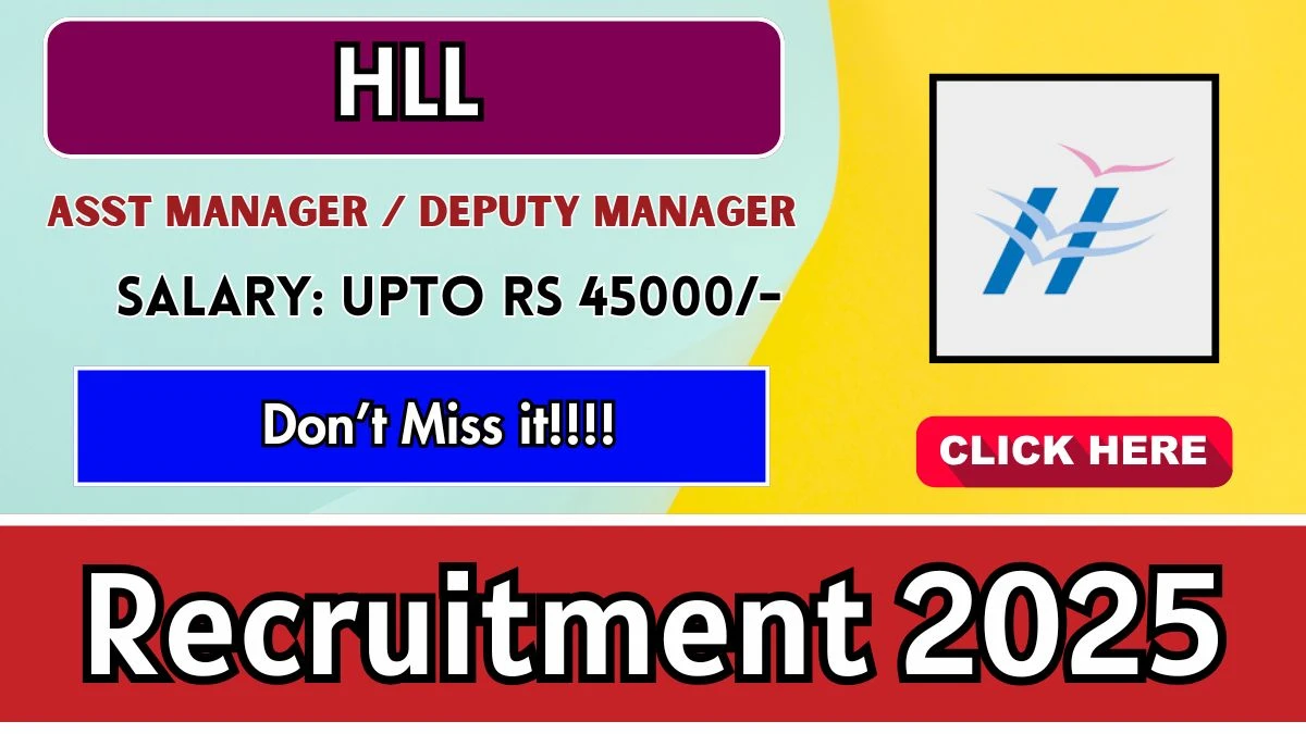 HLL Assistant Manager / Deputy Manager Recruitment 2025 - Apply Offline