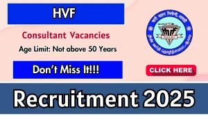 HVF Consultant Recruitment 2025 - Apply Offline for 01 Posts HVF Consultant Recruitment 2025 - Apply Offline for 01 Posts