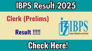 IBPS Clerk Prelims Result 2025 – Check Release Date and Updates