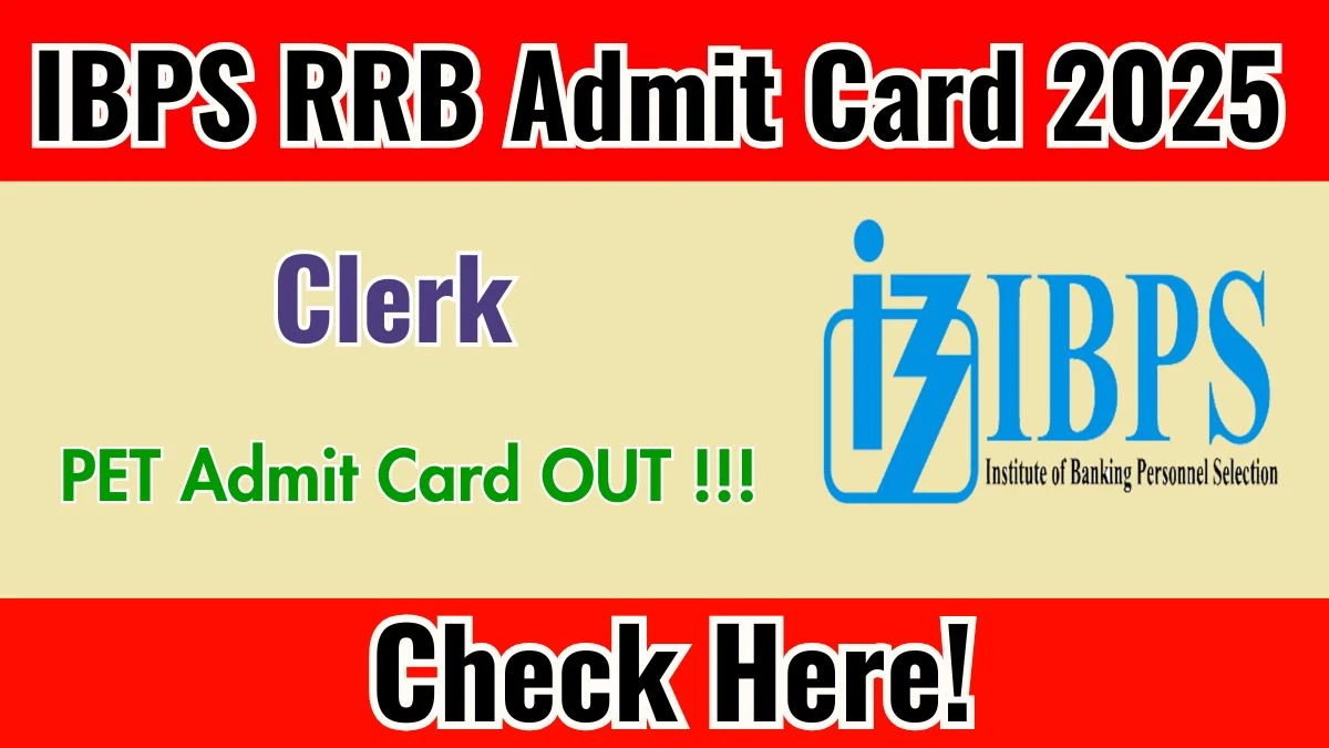IBPS RRB Clerk PET Admit Card 2025 - Download Here