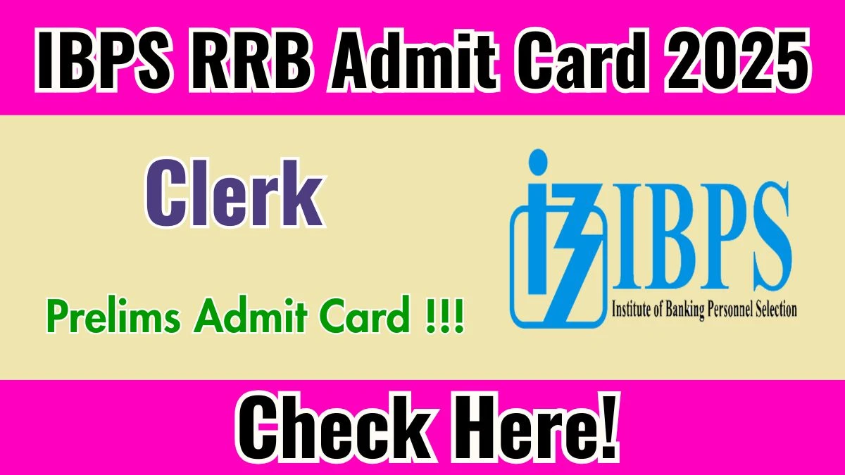 IBPS RRB Clerk Prelims Admit Card 2025 - Download Here