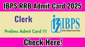 IBPS RRB Clerk Prelims Admit Card 2025 - Download Here IBPS RRB Clerk Prelims Admit Card 2025 - Download Here