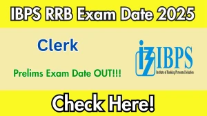IBPS RRB Clerk Prelims Exam Date 2025 Announced – Check Details at ibps.in