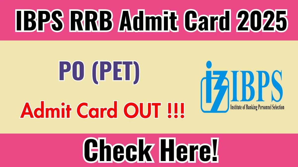 IBPS RRB PO PET Admit Card 2025 OUT Download Link ibps.in