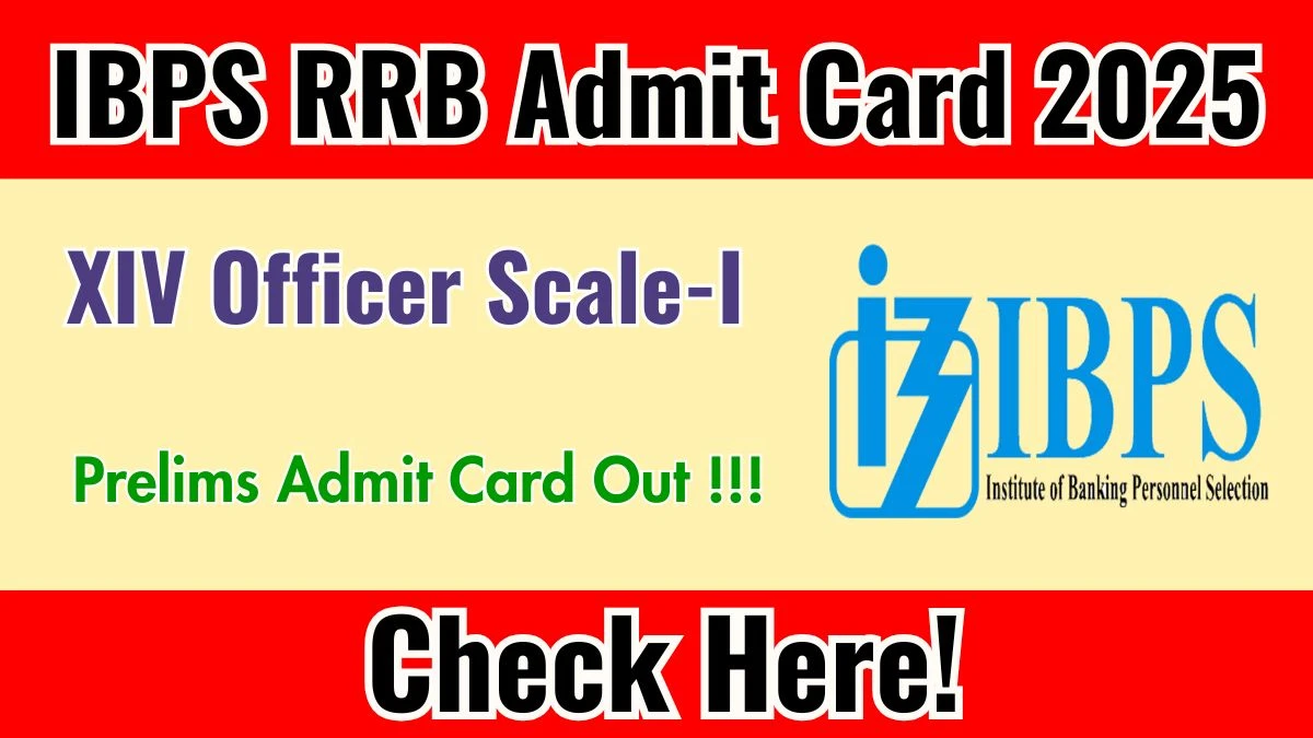 IBPS RRB XIV Officer Scale-I Prelims Admit Card 2025 OUT Download Hall Ticket at ibps.in