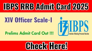 IBPS RRB XIV Officer Scale-I Prelims Admit Card 2025 OUT Download Hall Ticket at ibps.in IBPS RRB XIV Officer Scale-I Prelims Admit Card 2025 OUT Download Hall Ticket at ibps.in