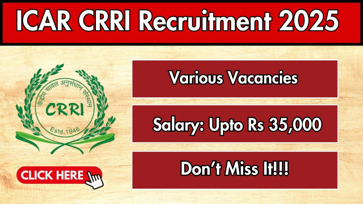 ICAR CRRI Recruitment 2025 – Walk in for 06 Senior Research Fellow, Office Assistant and Other Posts