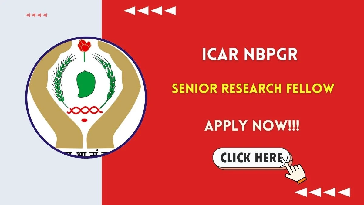 ICAR NBPGR Senior Research Fellow Recruitment 2025 - Apply Offline