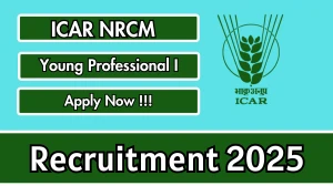 ICAR NRCM Young Professional I Recruitment 2025 – Walk in
