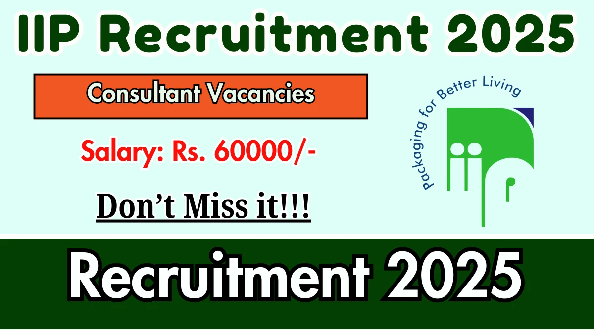 IIP Consultant Recruitment 2025 - Apply Online for 01 Posts