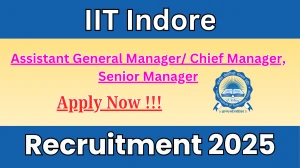 IIT Indore Recruitment 2025 - Apply Offline for Assistant General Manager/ Chief Manager, Senior Manager Posts