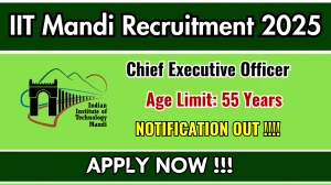IIT Mandi Chief Executive Officer Recruitment 2025 - Apply Offline