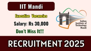 IIT Mandi Executive Recruitment 2025 - Apply Offline