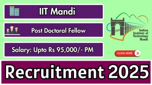 IIT Mandi Post Doctoral Fellow Recruitment 2025 - Apply Offline