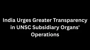 India Urges Greater Transparency in UNSC Subsidiary Organs' Operations