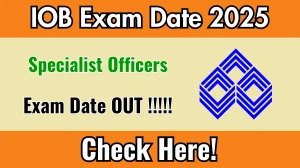 Indian Overseas Bank SO Exam Date 2025 Out for 127 Posts at iob.in Check Details Here