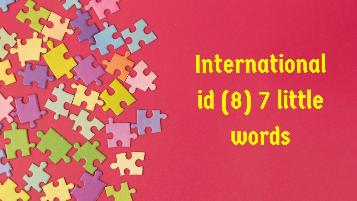 International id 7 Little Words 8 letters Answer