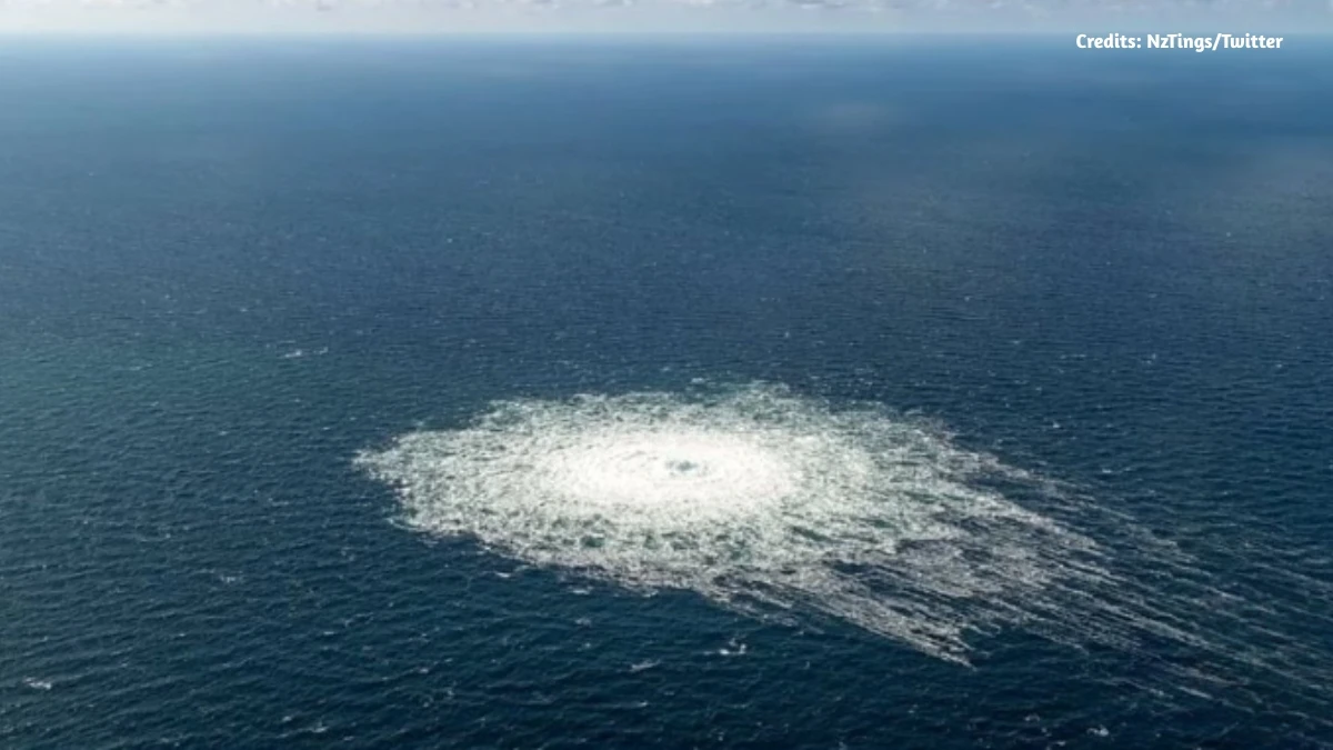 Italian Court Approves Extradition of Ukrainian Suspect in Nord Stream Blast