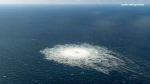 Italian Court Approves Extradition of Ukrainian Suspect in Nord Stream Blast